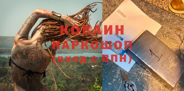 мяу мяу мука Аркадак