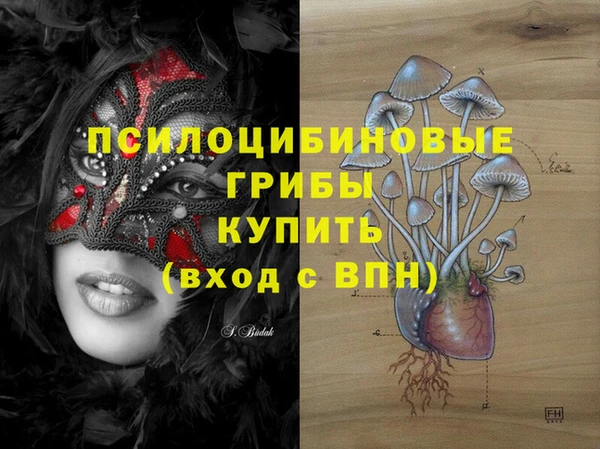 мяу мяу мука Аркадак